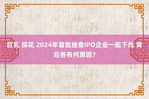 巨乳 探花 2024年首批抽查IPO企业一起下线 背后各有何原因？