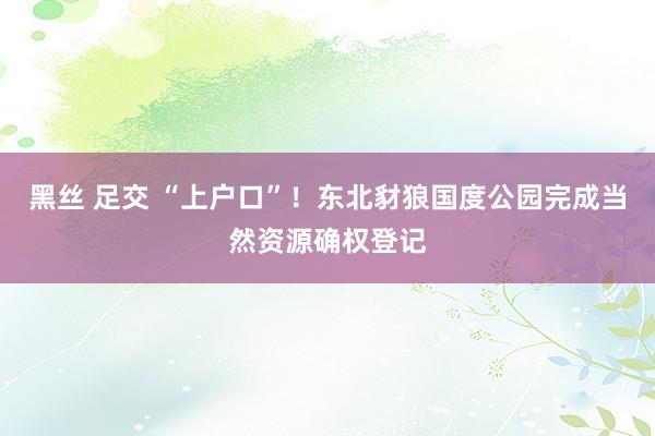 黑丝 足交 “上户口”！东北豺狼国度公园完成当然资源确权登记