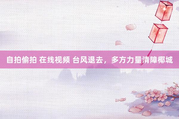 自拍偷拍 在线视频 台风退去，多方力量清障椰城
