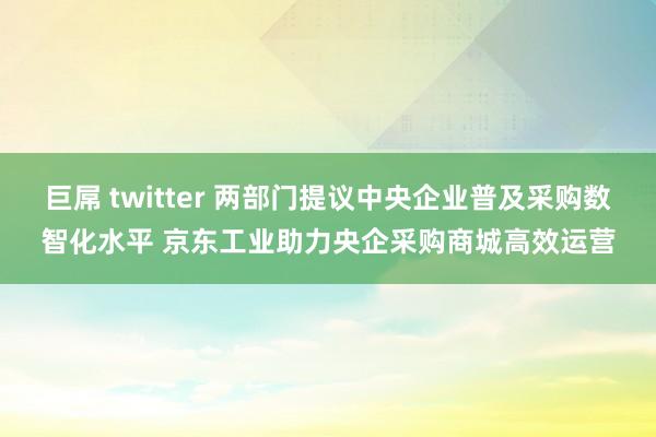 巨屌 twitter 两部门提议中央企业普及采购数智化水平 京东工业助力央企采购商城高效运营