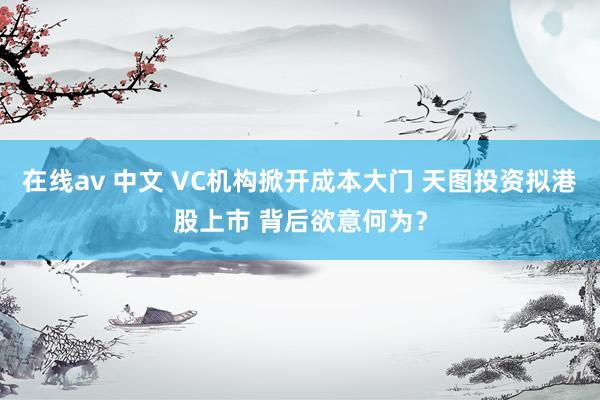 在线av 中文 VC机构掀开成本大门 天图投资拟港股上市 背后欲意何为？