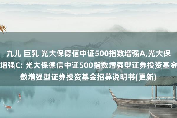 九儿 巨乳 光大保德信中证500指数增强A,光大保德信中证500指数增强C: 光大保德信中证500指数增强型证券投资基金招募说明书(更新)