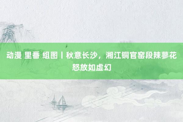 动漫 里番 组图丨秋意长沙，湘江铜官窑段辣蓼花怒放如虚幻