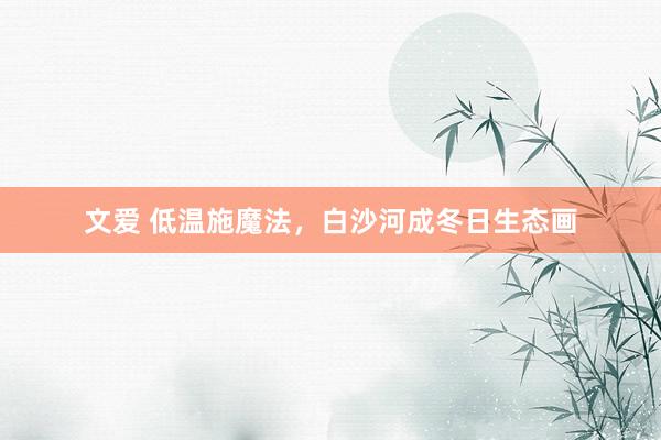 文爱 低温施魔法，白沙河成冬日生态画