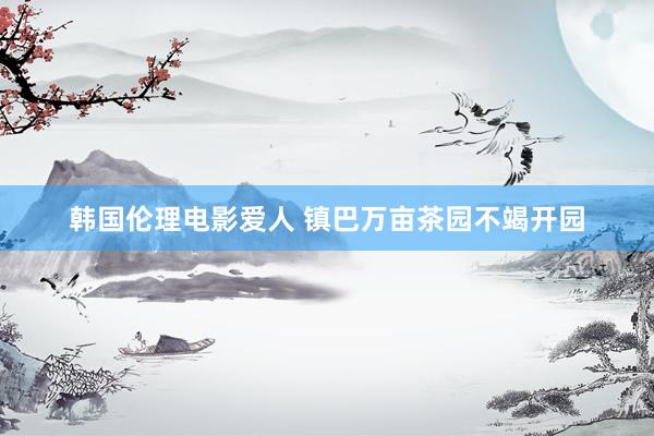 韩国伦理电影爱人 镇巴万亩茶园不竭开园