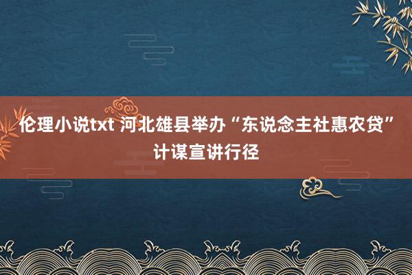 伦理小说txt 河北雄县举办“东说念主社惠农贷”计谋宣讲行径