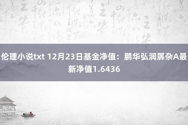 伦理小说txt 12月23日基金净值：鹏华弘润羼杂A最新净值1.6436