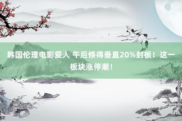 韩国伦理电影爱人 午后倏得垂直20%封板！这一板块涨停潮！
