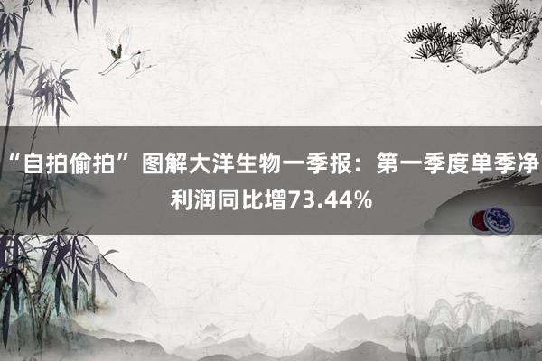“自拍偷拍” 图解大洋生物一季报：第一季度单季净利润同比增73.44%