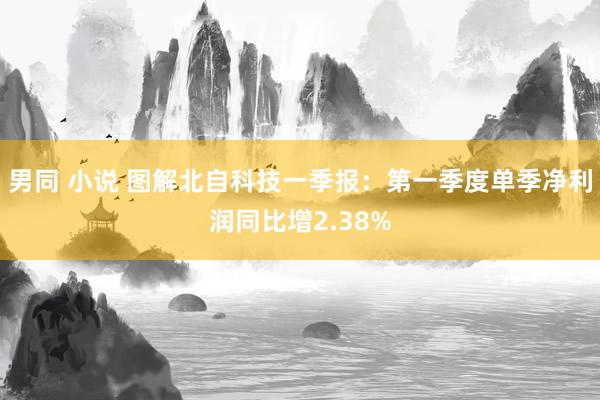 男同 小说 图解北自科技一季报：第一季度单季净利润同比增2.38%
