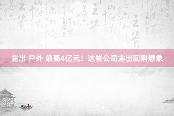 露出 户外 最高4亿元！这些公司露出回购想象
